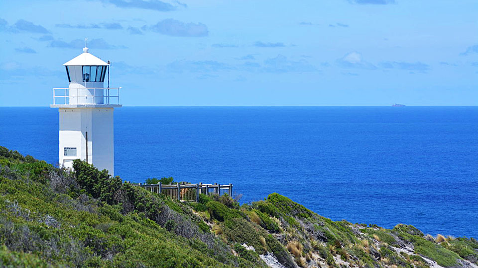 cape liptrap