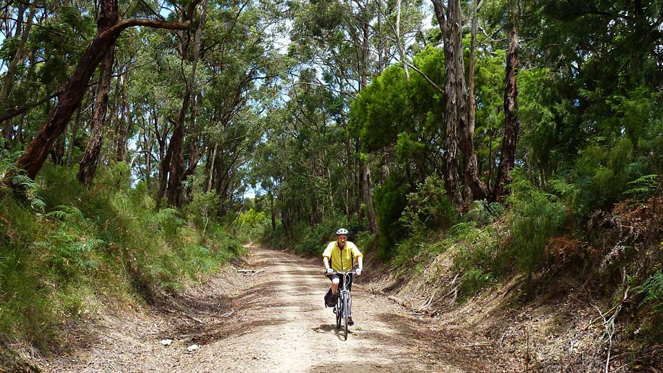 cycling great southern rail trail