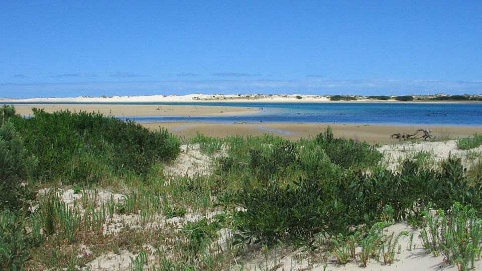 shallow inlet