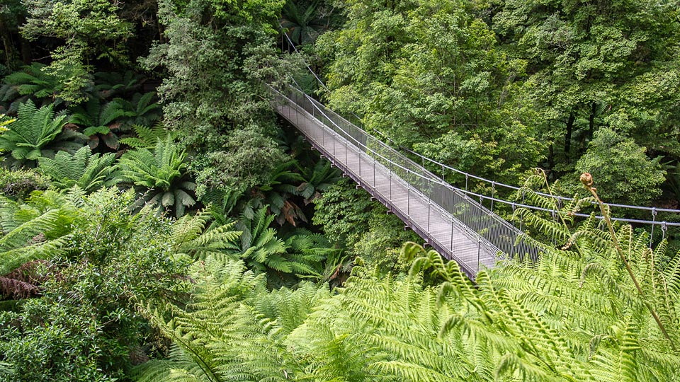 tarra bulga national park