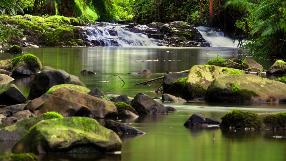 turtons creek waterfall
