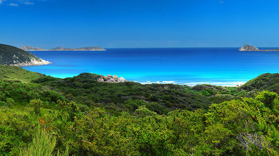 waratah bay